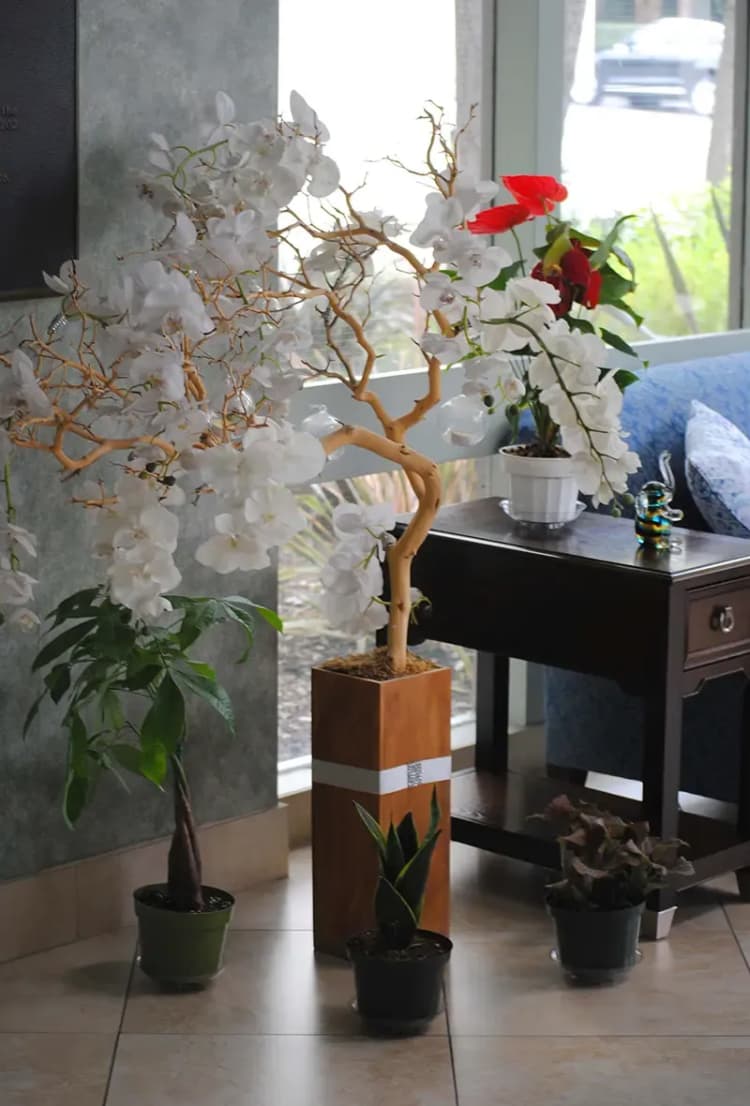 Burbank apartments for rent - image - imgi_27_wt-flower.webp